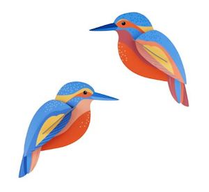Art: Kingfishers Wall Art by Studio ROOF