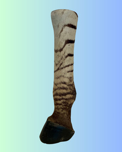 Zebra Foot
