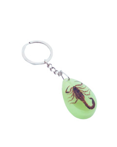 Taxidermy: Scorpion Keychain
