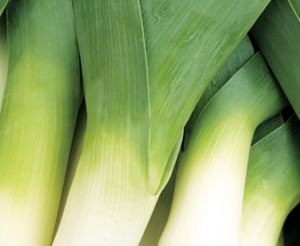 Products: Leek