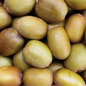 Products: Kiwifruit Gold 1kg