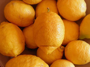 Products: Lemons - Coney's Orchard 1kg