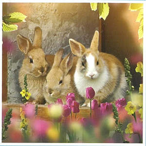 Diamond Art Tool Kit - 30cm x 30cm