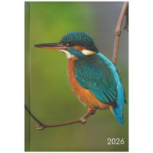 2026 A5 Diary Week to View - Birds