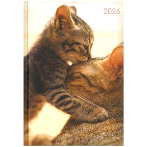 Diaries: 2026 A5 Diary Week to View - Cats & Kittens