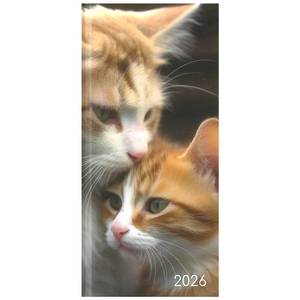 2026 Pocket Diary Week to View - Cats & Kittens