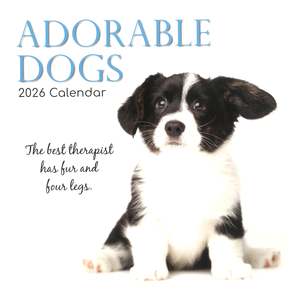 2026 Bc Calendars: 2026 Wall Calendar - Adorable Dogs