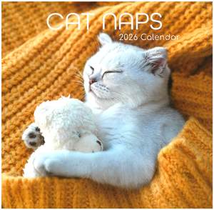 2026 Bc Calendars: 2026 Wall Calendar - Cat Naps
