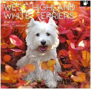 2026 Wall Calendar - West Highland White Terriers