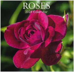 2026 Bc Calendars: 2026 Wall Calendar - Roses