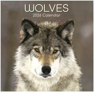 2026 Bc Calendars: 2026 Wall Calendar - Wolves