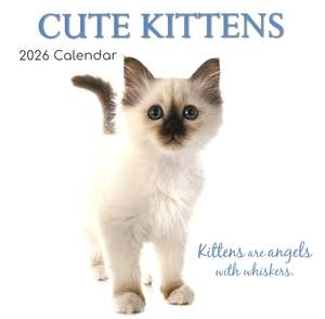 2026 Wall Calendar - Cute Kittens