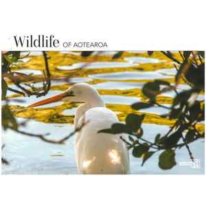 2026 Wall Calendar - Wildlife Of Aotearoa