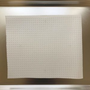 Products: Dental Bib White (Poly Back) 20 x 26cm