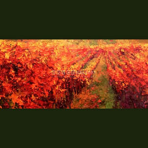 Landscapes Waterscapes: Autumn Vineyard