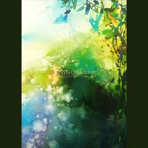 Landscapes Waterscapes: Humming of a Morning Forest