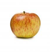 Fruit Vegetables: Apples - Organic Cox's Orange