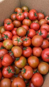 Kakanui Tomatoes Loose -