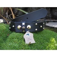 Leather Belt Studded