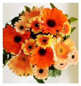 All Flowers: Giselle