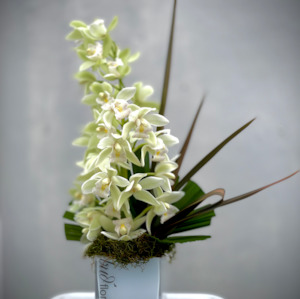 mothers day: Orchid Arrangement