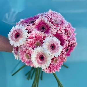 Pink: Mum Loves Gerberas