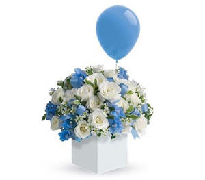 White: It's a Boy