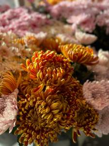 All Flowers: Florist Choice Pretty in Orange