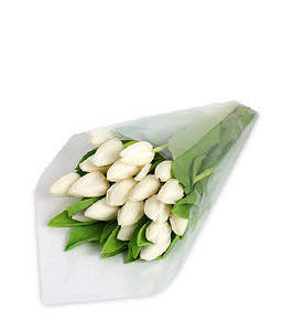 All Flowers: White Tulip Bouquet - Fresh Tulips Wellington | Bud Florists