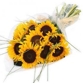 All Flowers: Sunflower Bouquet | Fresh Sunflowers Upper Hutt Wellington
