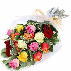 All Flowers: Mixed Colour Rose Bouquet | Fresh Roses Upper Hutt Wellington
