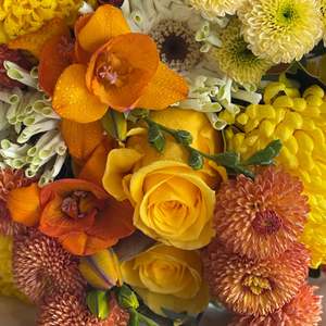 Birthday Flowers Wellington: Autumn Florist Choice Bouquet - Seasonal Flowers Upper Hutt | Budflorists
