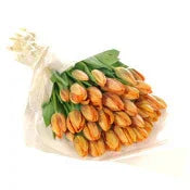 All Flowers: Orange Tulip Bouquet — Fresh Tulips Upper Hutt | Bud Florists