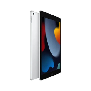 Apple iPad – 10.2 inch – Wi-Fi 64GB – 9th Gen – Silver Budget