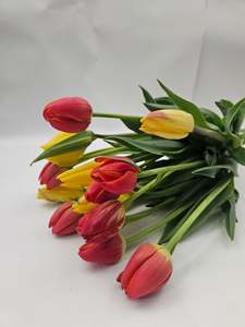 Products: Tulips
