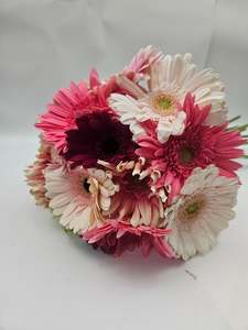 Products: Gerberas