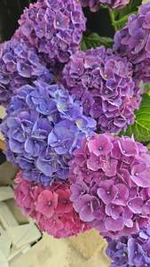 Products: Pastel Florist Choice Bouquet