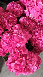 Bouquet: Bright Florist Choice Bouquet