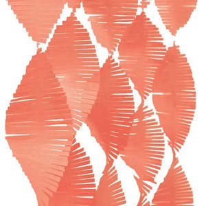 50s Party: Coral Fringe Garland