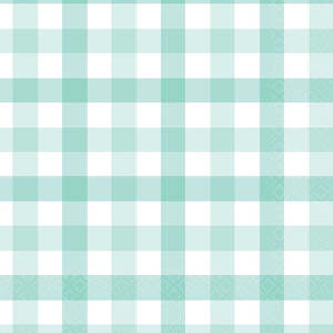 Pastel Party Supplies: Pastel Mint Gingham Napkins - Lunch 16 Pkt