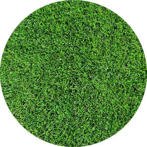 Cricket Party: Grass Edible Cake Image