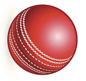 Cricket Party: Howzat! Cricket Ball Edible Cake Image