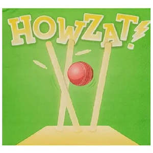 Howzat! Cricket Ball Napkins - Lunch 16 Pkt