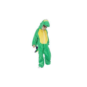 Dragon Costume