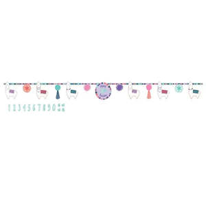 Llama Party: Llama Fun Add an Age Banner