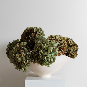 Preserved Hydrangeas: Juliana SAGE | Medium