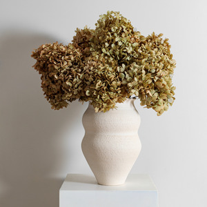 Preserved Hydrangeas: Limelight SAGE | Medium