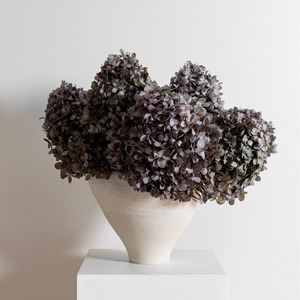 Preserved Hydrangeas: Limelight GREY LILAC | Large