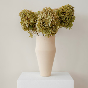Preserved Hydrangeas: Limelight  SAGE | Large