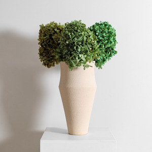 Preserved Hydrangeas: Green Mix | Large